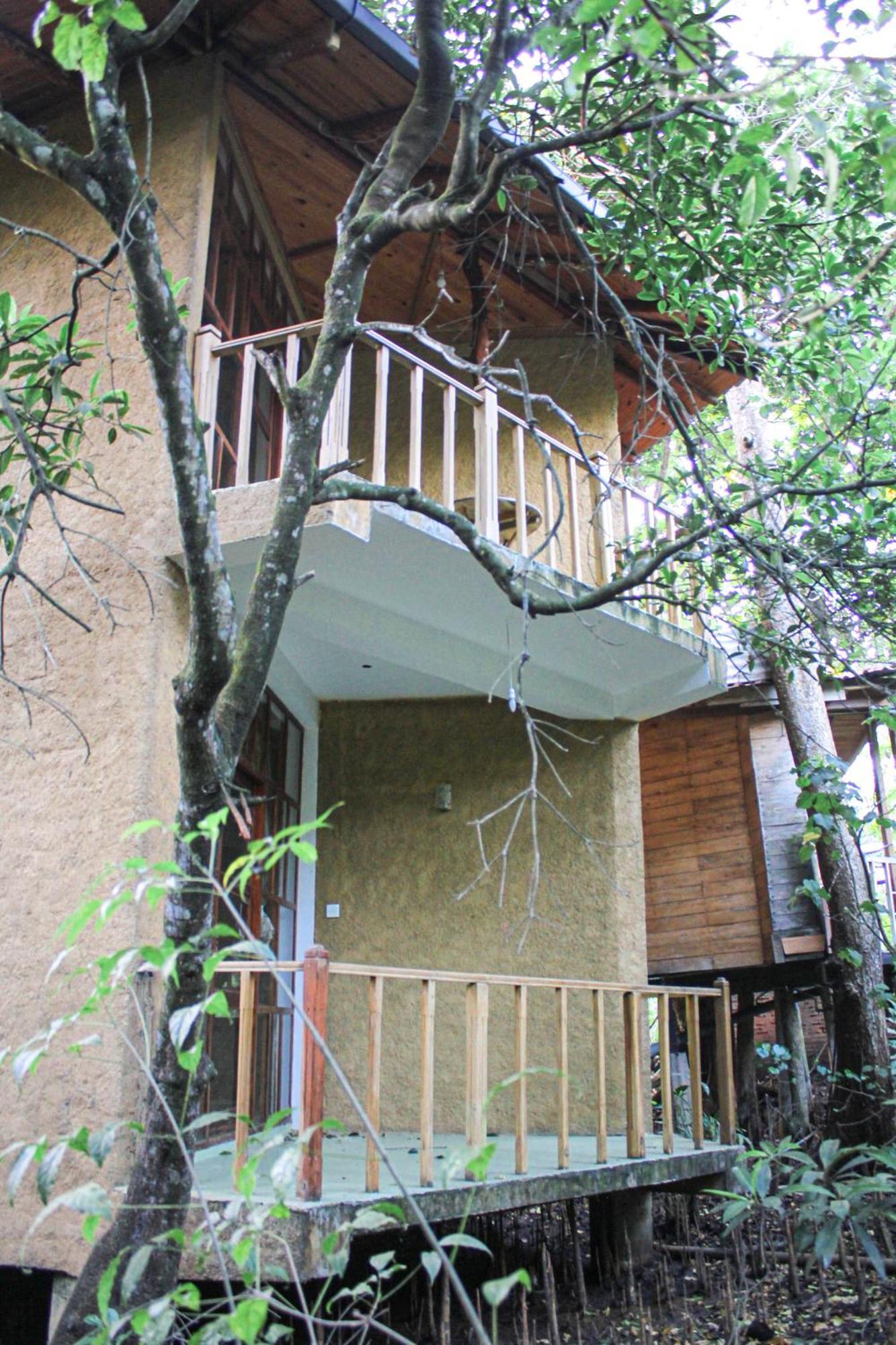 Seasons Four Eco Friendly Treehouse Guest House Matara Exterior foto